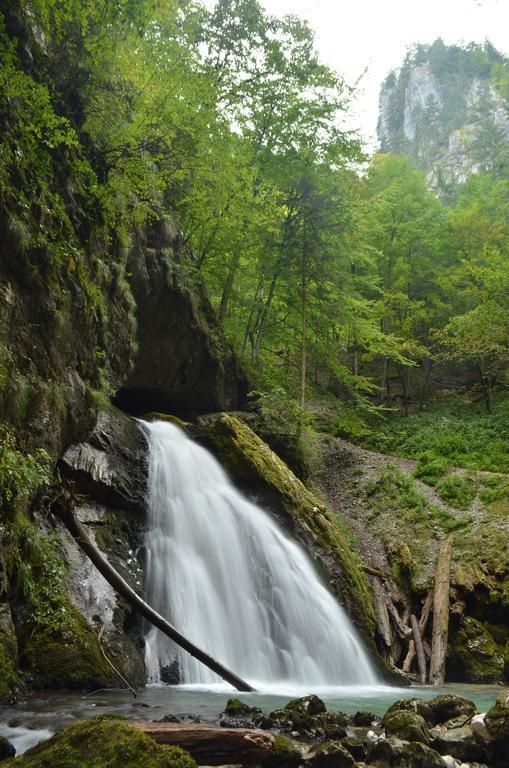 Pensiunea Viorica Arieşeni エクステリア 写真