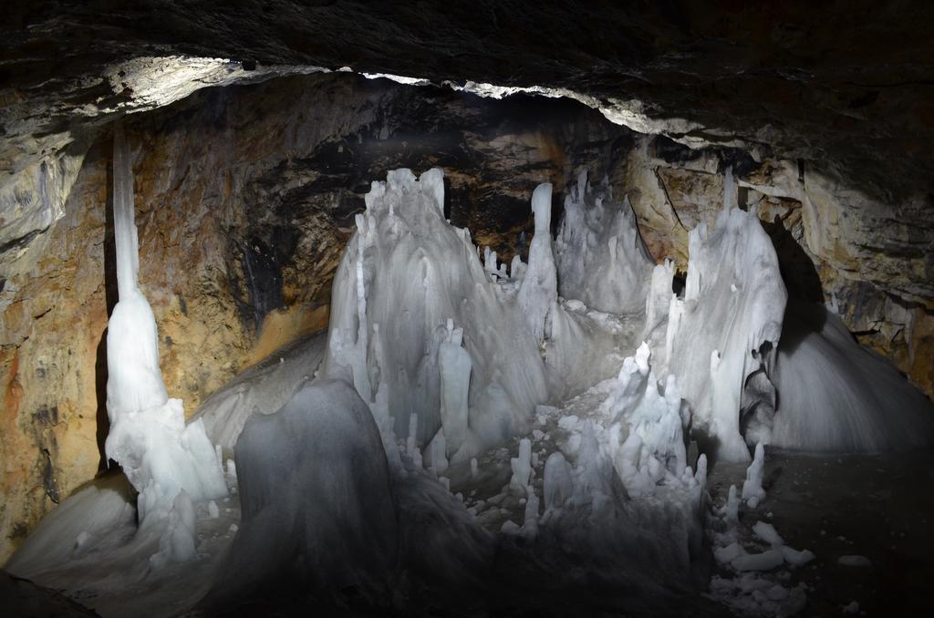 Pensiunea Viorica Arieşeni エクステリア 写真