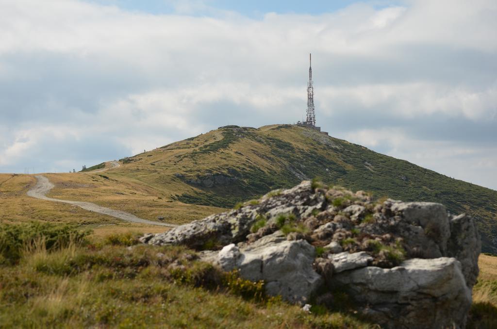 Pensiunea Viorica Arieşeni エクステリア 写真