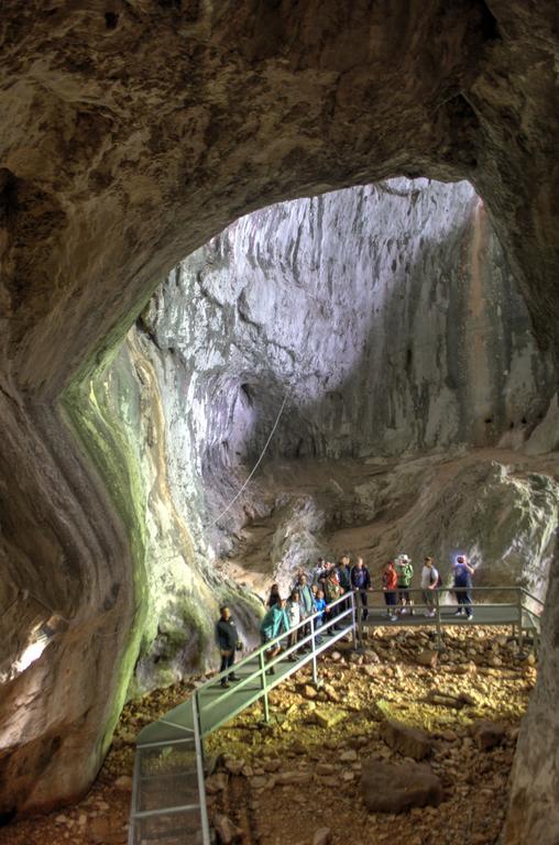 Pensiunea Viorica Arieşeni エクステリア 写真